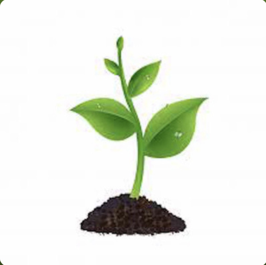 FAVOLA DI TEO di Silvia Scali (vincitrice del Concorso Fiabe…inventate)