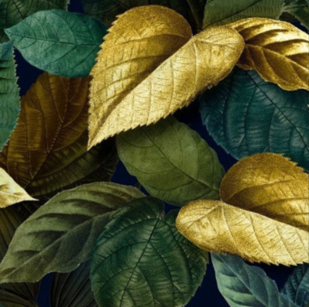 Settembre (5+ anni) – Alice Di Sanzo – ambientato a Villa Sciarra&nbsp;(Roma)